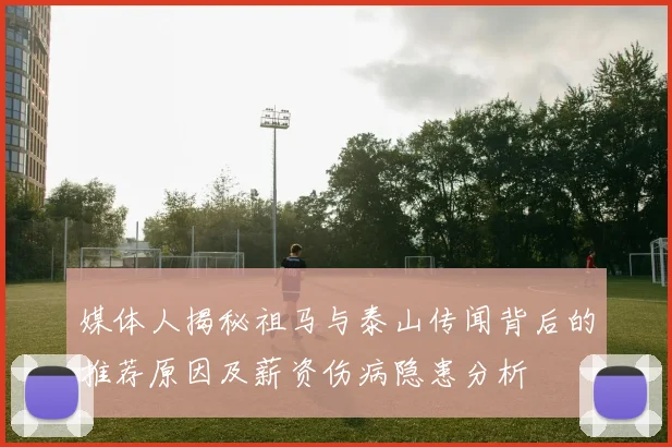 媒体人揭秘祖马与泰山传闻背后的推荐原因及薪资伤病隐患分析