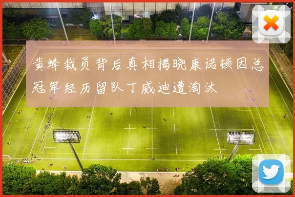 黄蜂裁员背后真相揭晓康诺顿因总冠军经历留队丁威迪遭淘汰