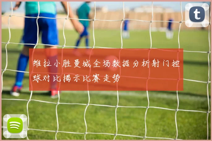 维拉小胜曼城全场数据分析射门控球对比揭示比赛走势