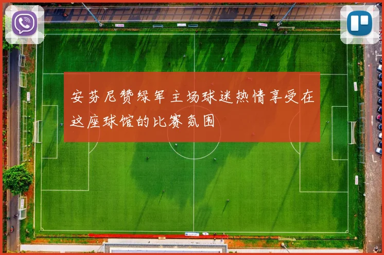 安芬尼赞绿军主场球迷热情享受在这座球馆的比赛氛围